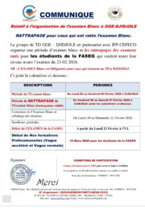 examen blanc FASEG 2026