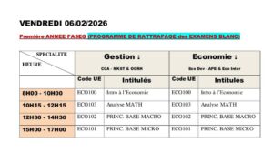 examen blanc FASEG 2026